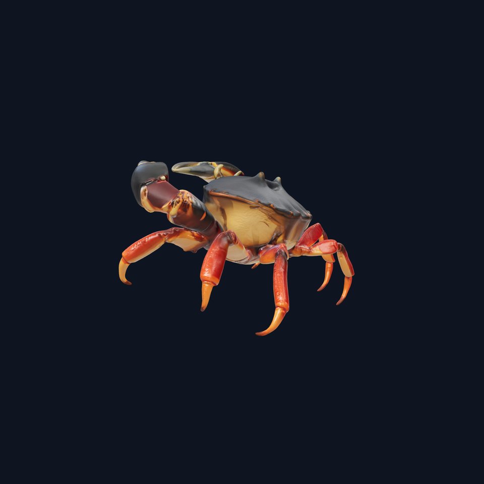 Mud Crab 3D Model Pack Featuring Realistic Earthy Texture