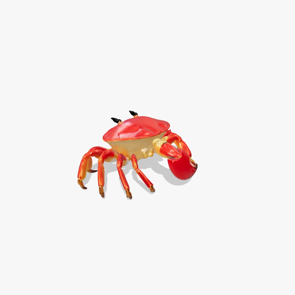 Christmas Island Red Crab Natural Design model pack