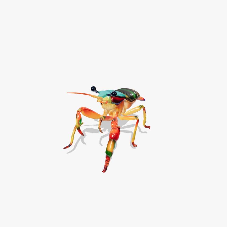 Peacock Mantis Shrimp Vivid Rainbow Model Pack