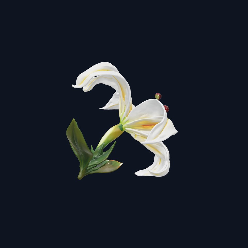Golden-Rayed Lily Flower Model Pack