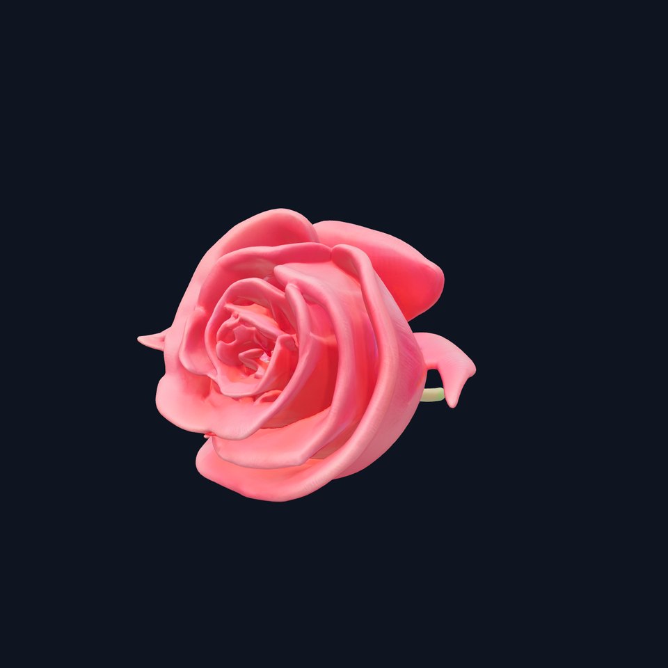 Realistic Rose Species Detail Model Pack