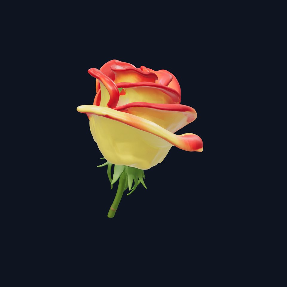 Rosa Bicolor Gradient Rose Flower model pack