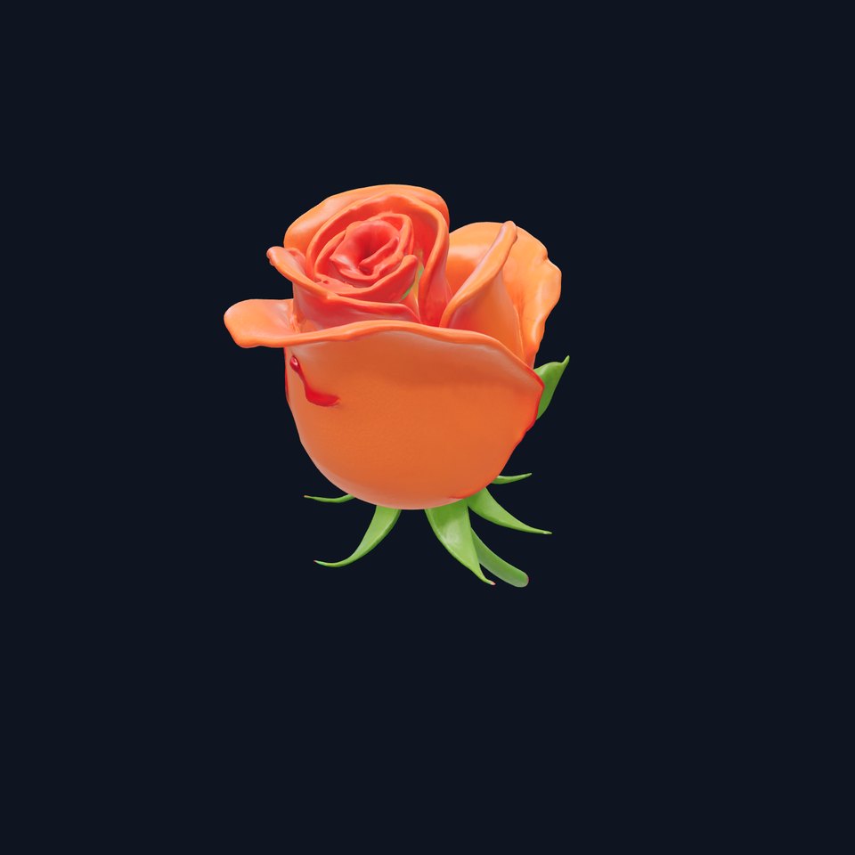Rosa Orange Rose with Red Tips model pack