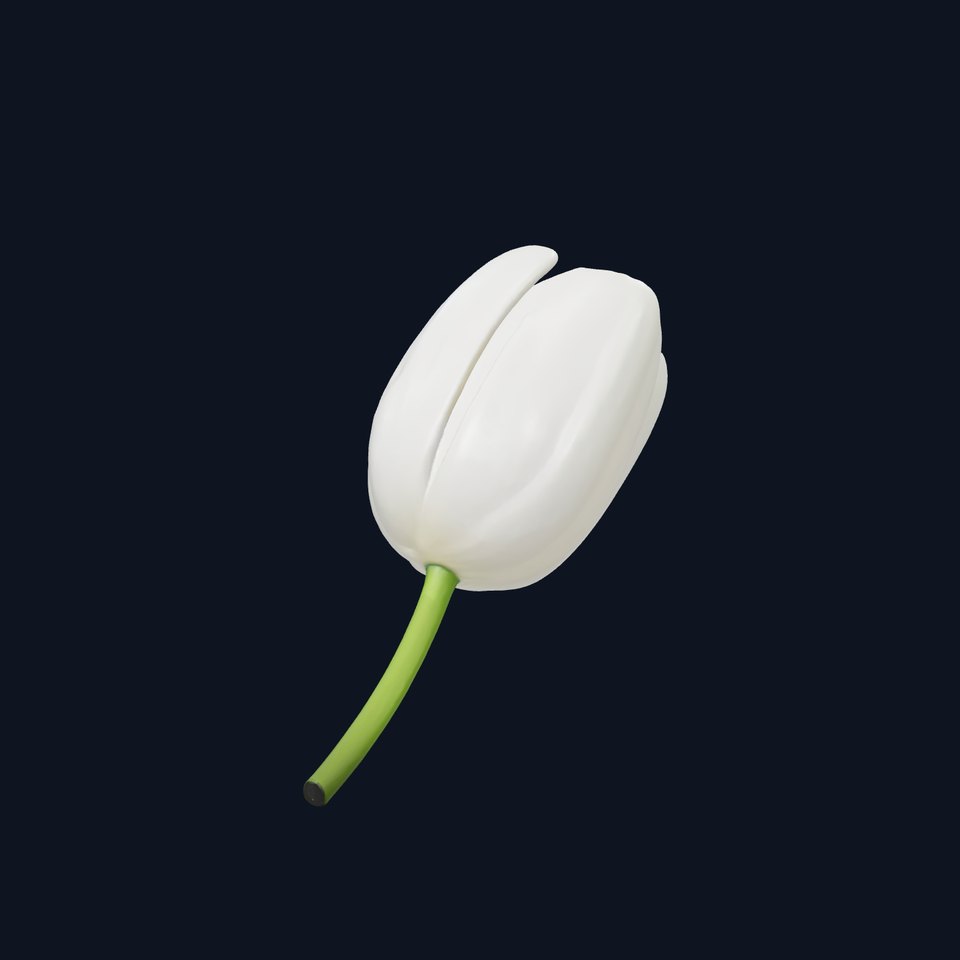 Tulip White Petal Pure Detailed Model Pack