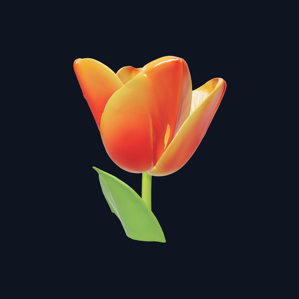 Orange Tulip Flower Detailed Model Pack