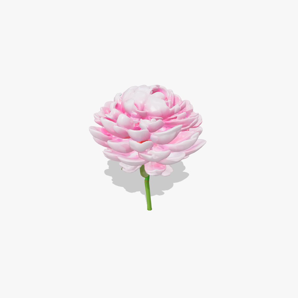 Double Peony Lush Blooms Elegance model pack