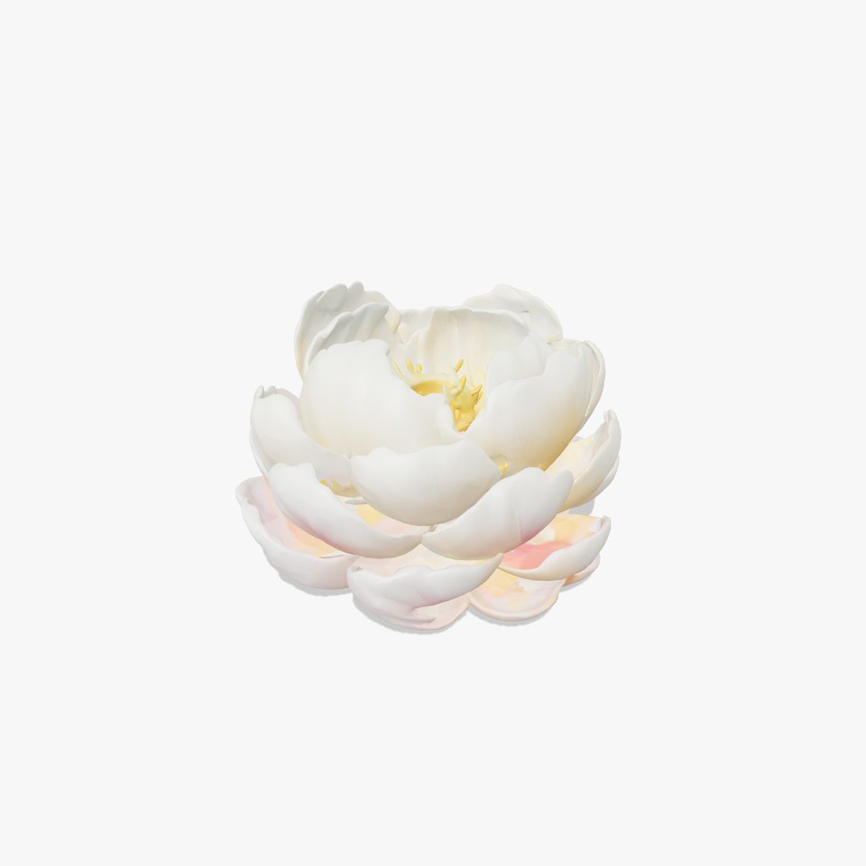 Peony Bloom Textured Model Pack