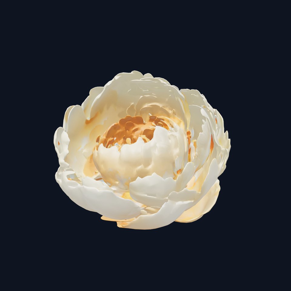 Peony Blossom Realistic Floral model pack