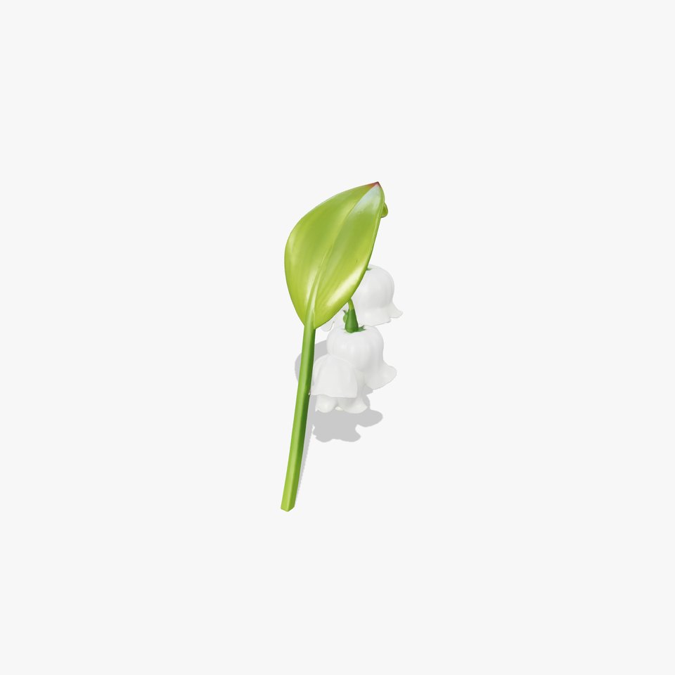 Japanese Lily of the Valley Elegant Bells model pack