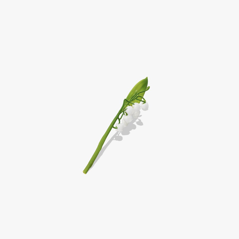 Lily of the Valley Botanical model pack