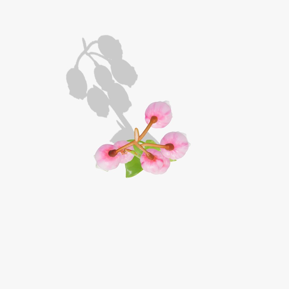 Pink Lily of the Valley Flower Model Pack