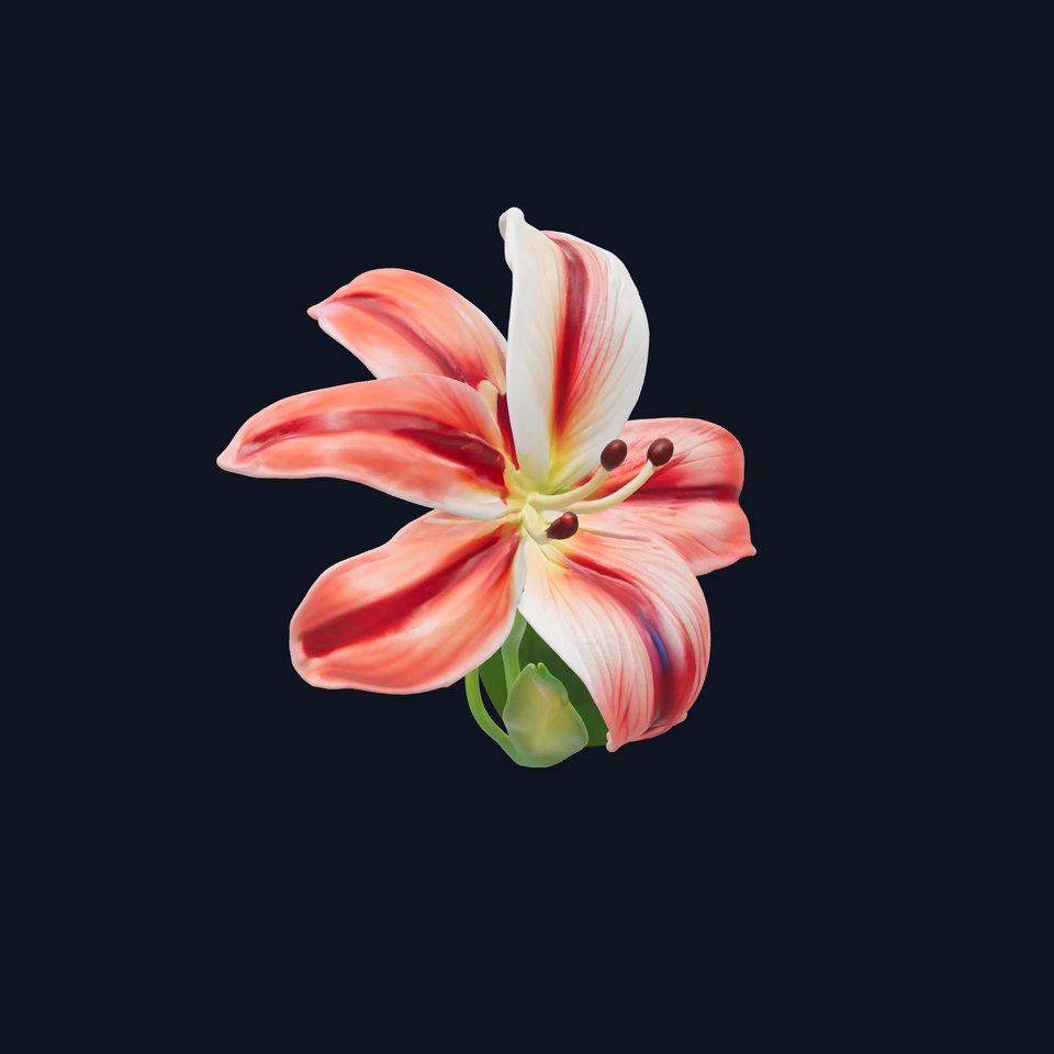 Realistic Lily Flower Model Pack with Diverse Textures