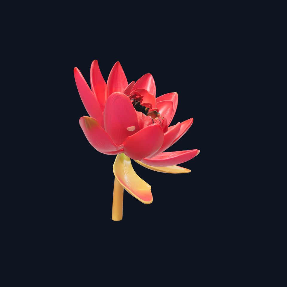 Unique Red Water Lily model pack - Detailed bright red petals and dark vivid center