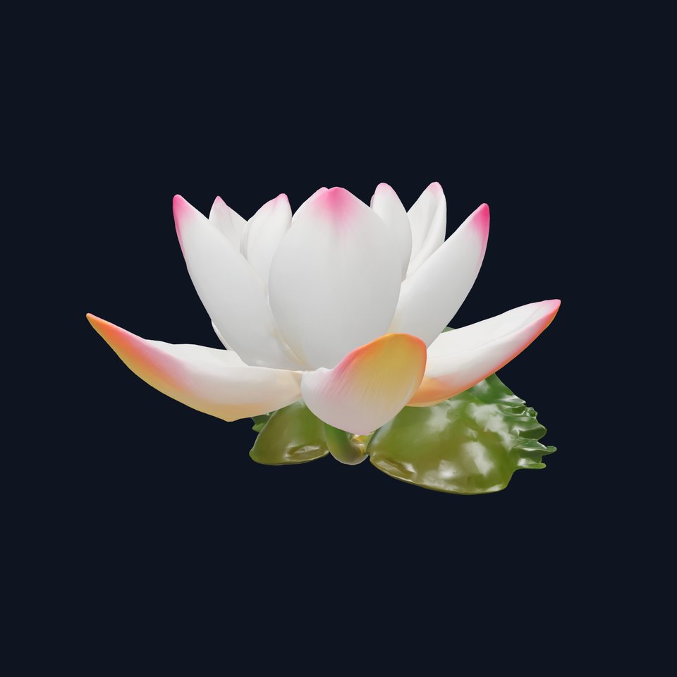 Tiger Water Lily Nymphaea Lotus Detailed Texture Model Pack