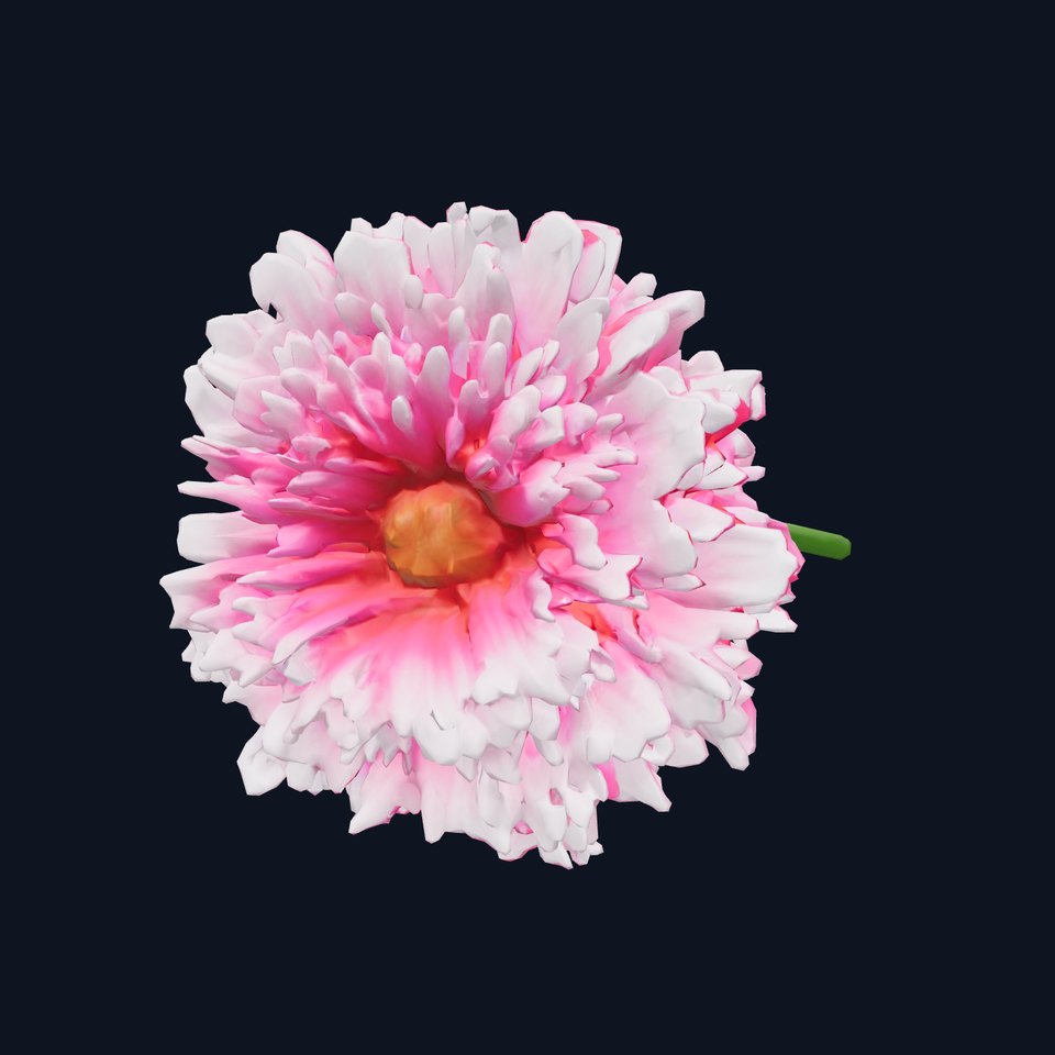Dianthus Double Flower Intricate Petals model pack viewer poster