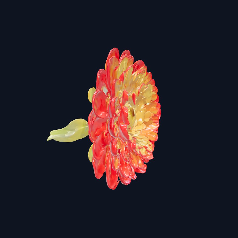 Ranunculus Bicolor Flower Detailed Model Pack