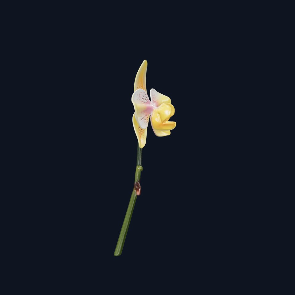Vivid Yellow Oncidium Orchid Blossom model pack