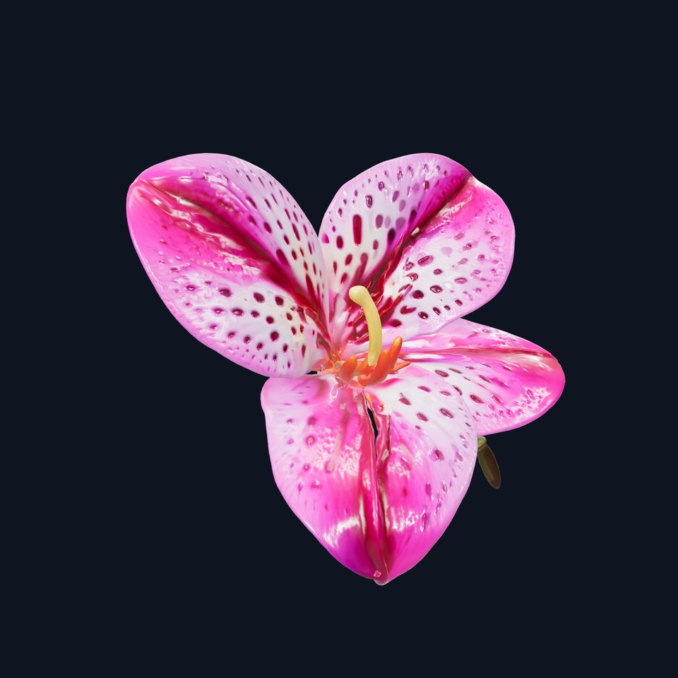 Vanda Orchid Flower Spot Pattern model pack viewer poster