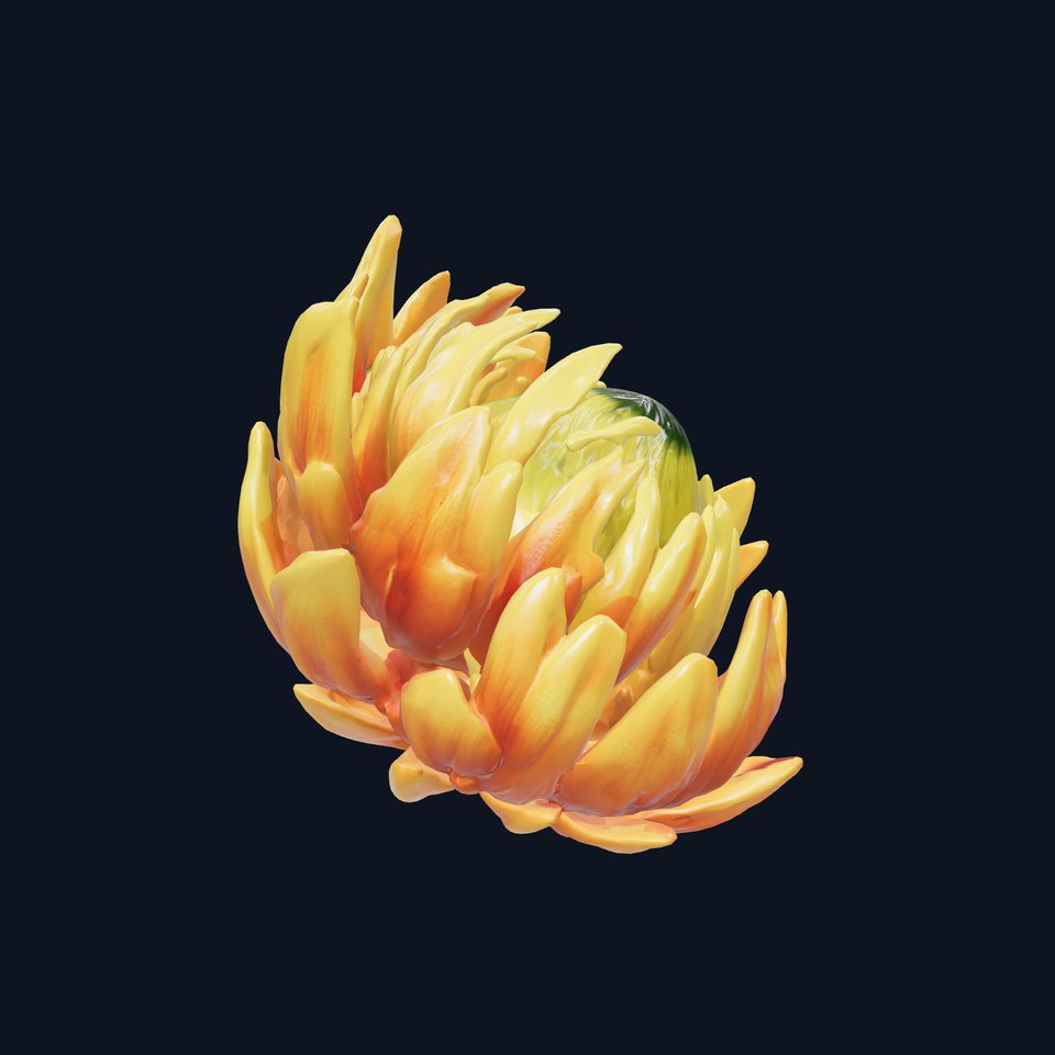 Sunny Yellow Protea Realistic Flower Model Pack