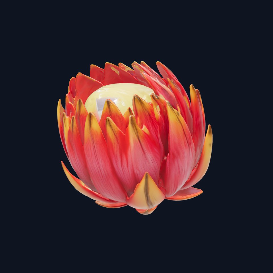 Dwarf Protea Flower Realistic Botanical model pack