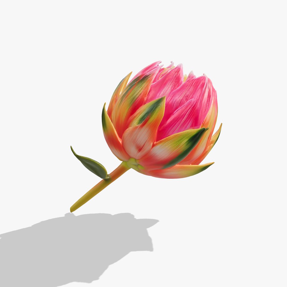 Vivid Protea Flower Model Pack viewer poster