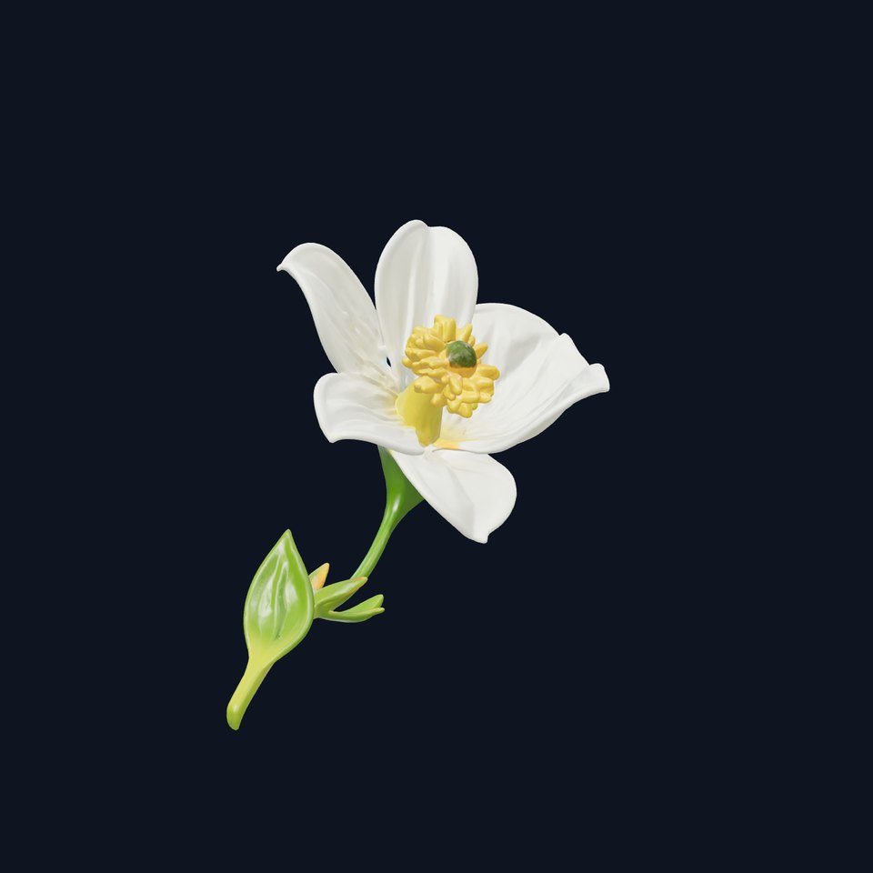 Elegant White Petal Flower 3D Model Pack