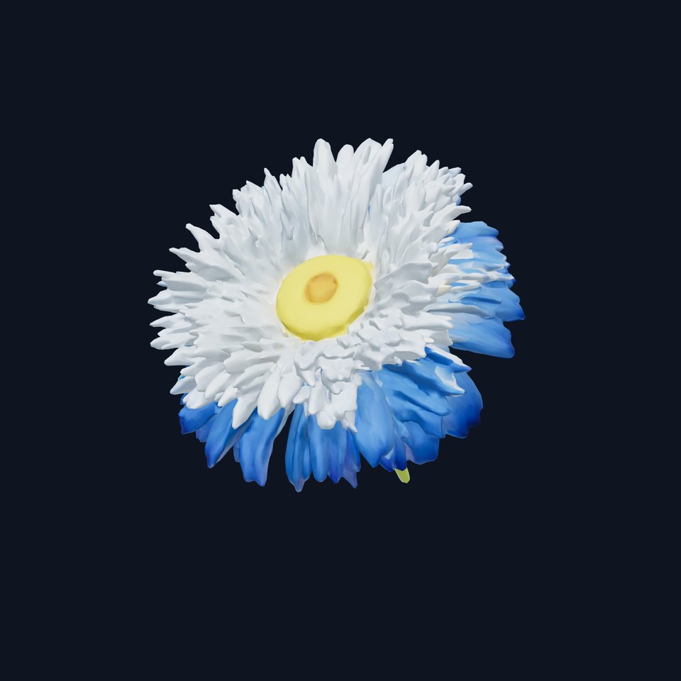 Bicolor Cornflower Realistic Flower model pack