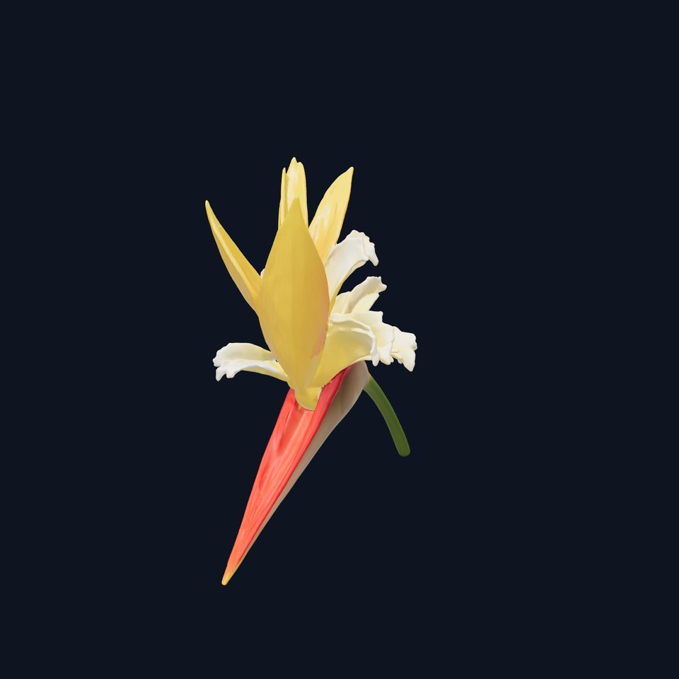 Double Strelitzia Flower Intricate Texture model pack