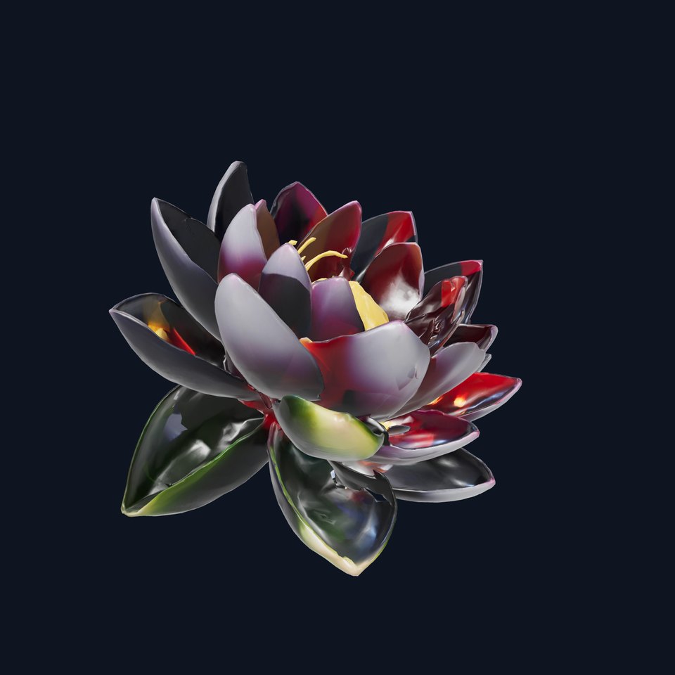 Deep Black Water Lily Petals model pack
