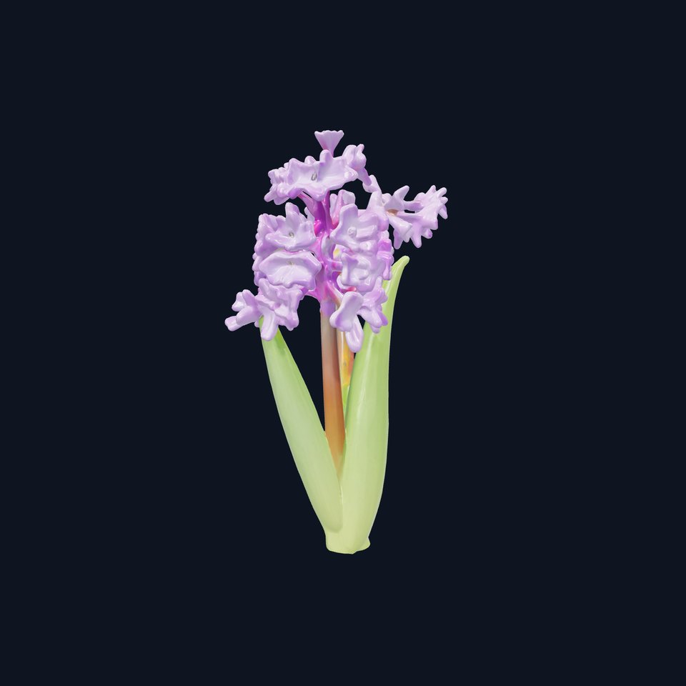 Purple Hyacinth Realistic Flower model pack