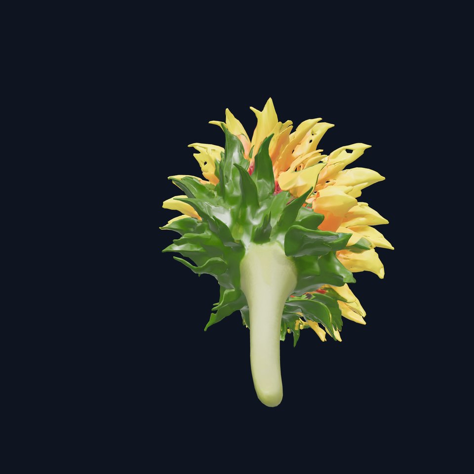 Sunflower Realistic Detailed 3D Model Pack