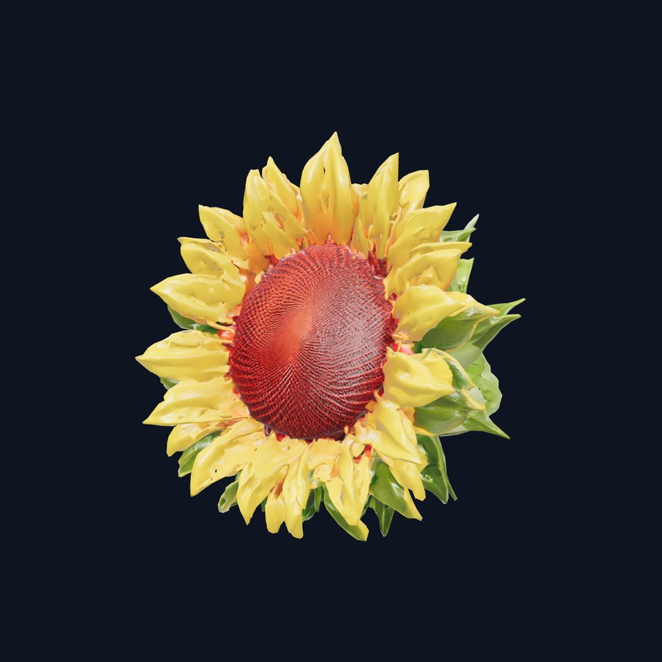 Unique Form Sunflower 3D Lifelike Model Pack
