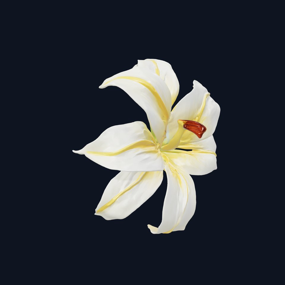 Golden Lily Flower model pack