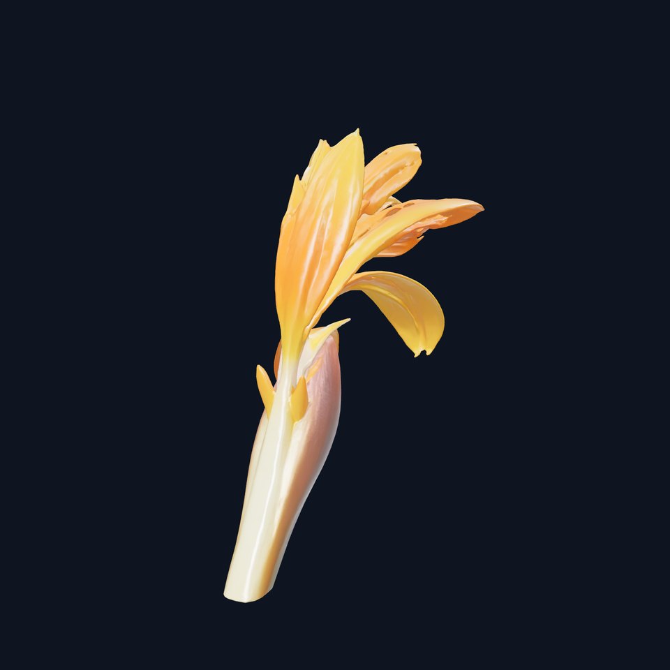 Alpine Strelitzia Elegant Flower Model Pack