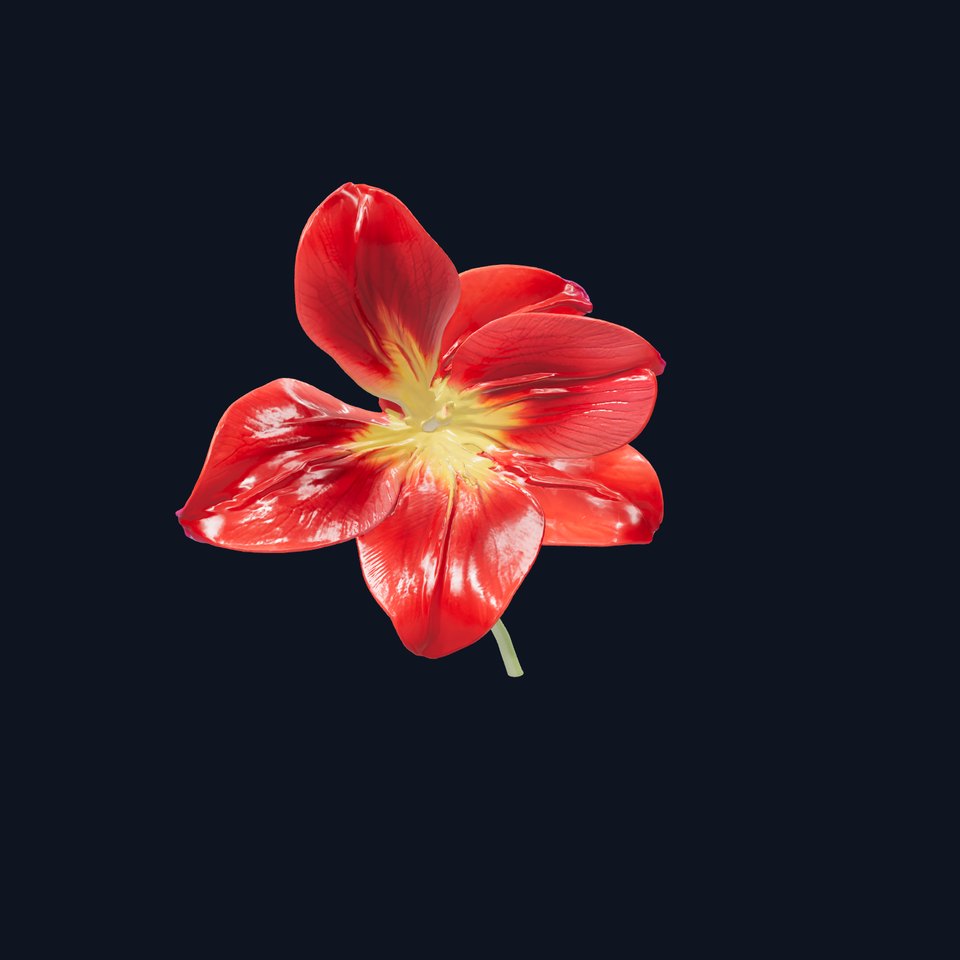 Freesia Red Delicate Flower Petals model pack