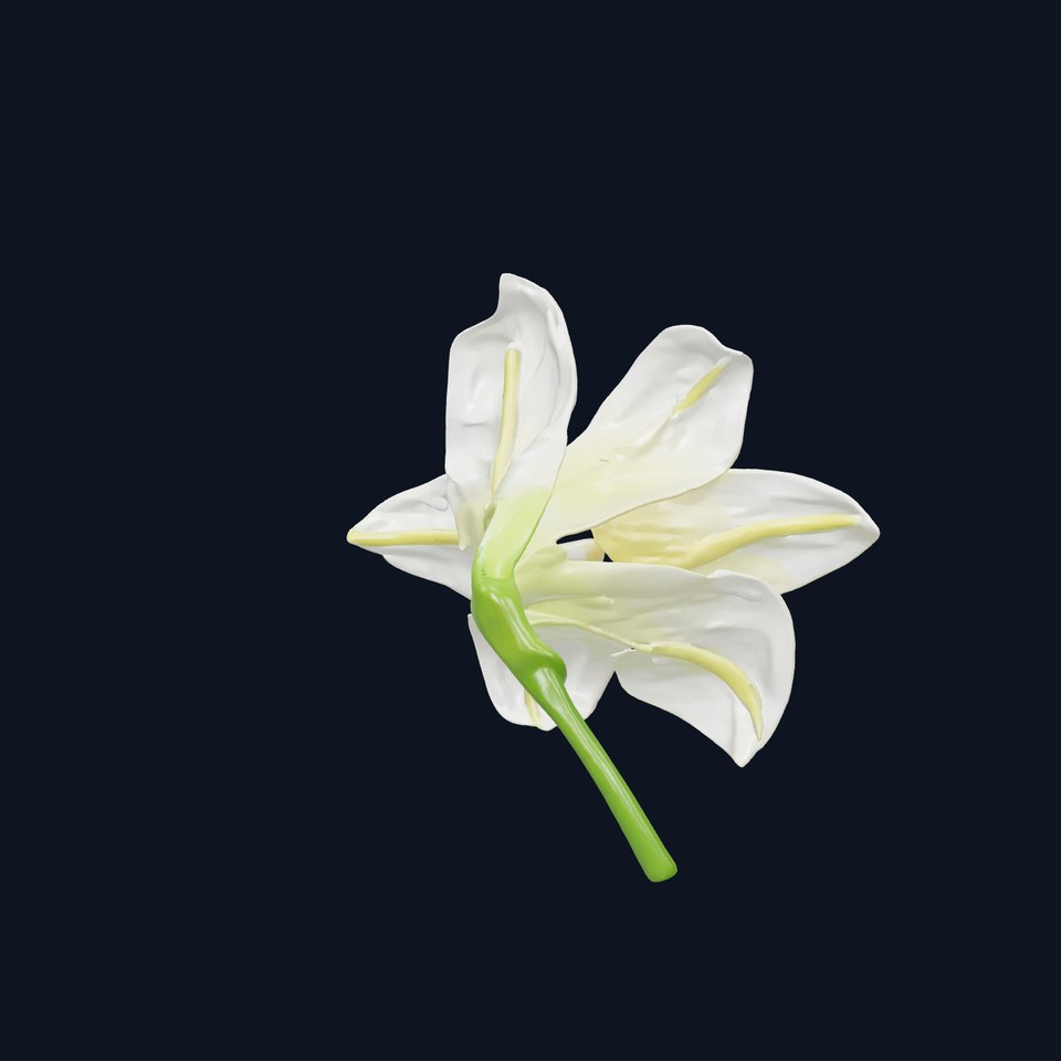 Freesia White Flower High-Detail Model Pack