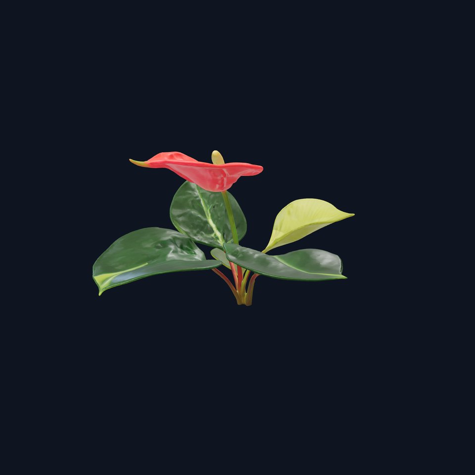 Anthurium Red Glossy Petals model pack