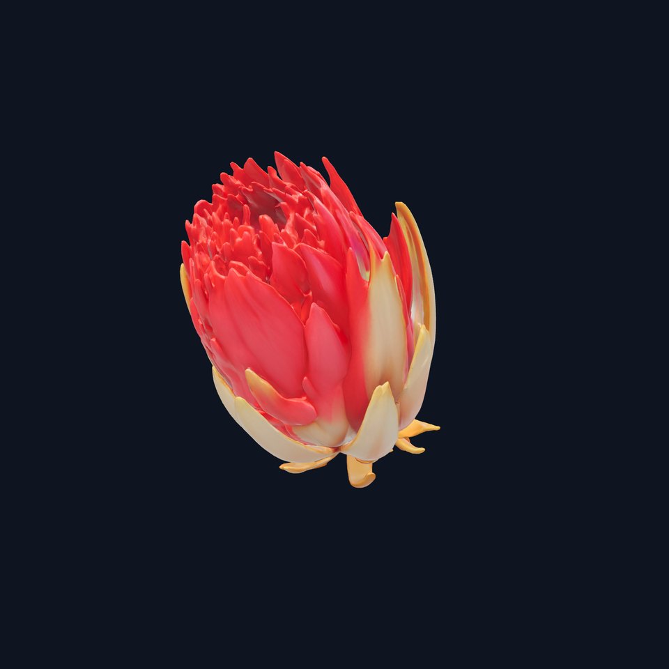 Vibrant Red Protea Flower Realistic Model Pack