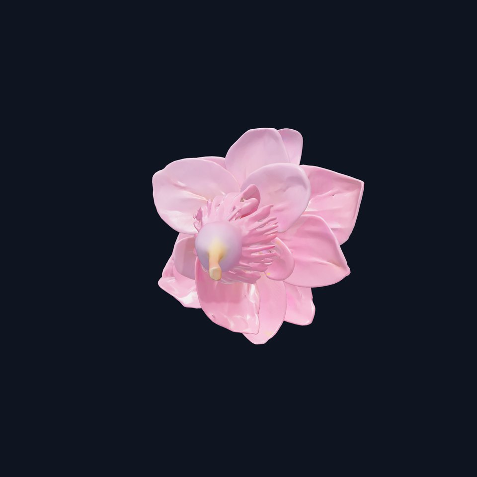 Lonicera Pink Botanical Representation model pack viewer poster