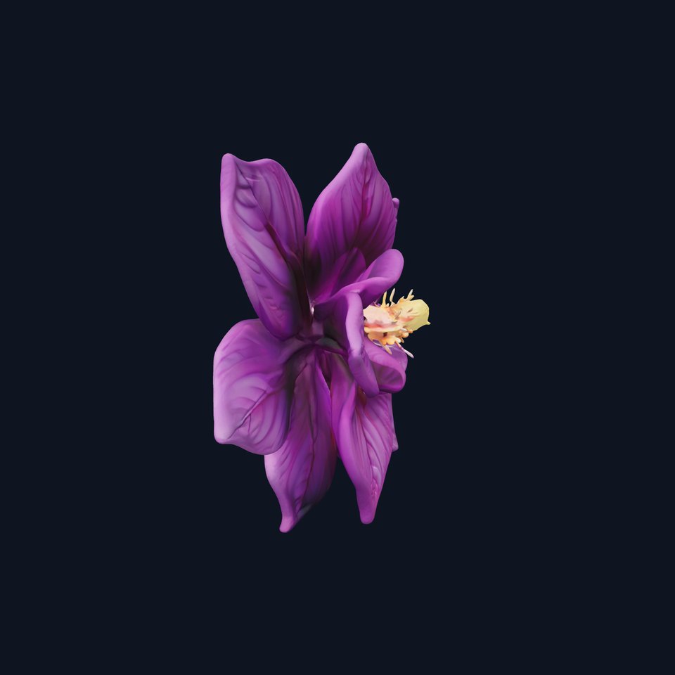 Grandiflorus Clematis Flower Sculpture model pack