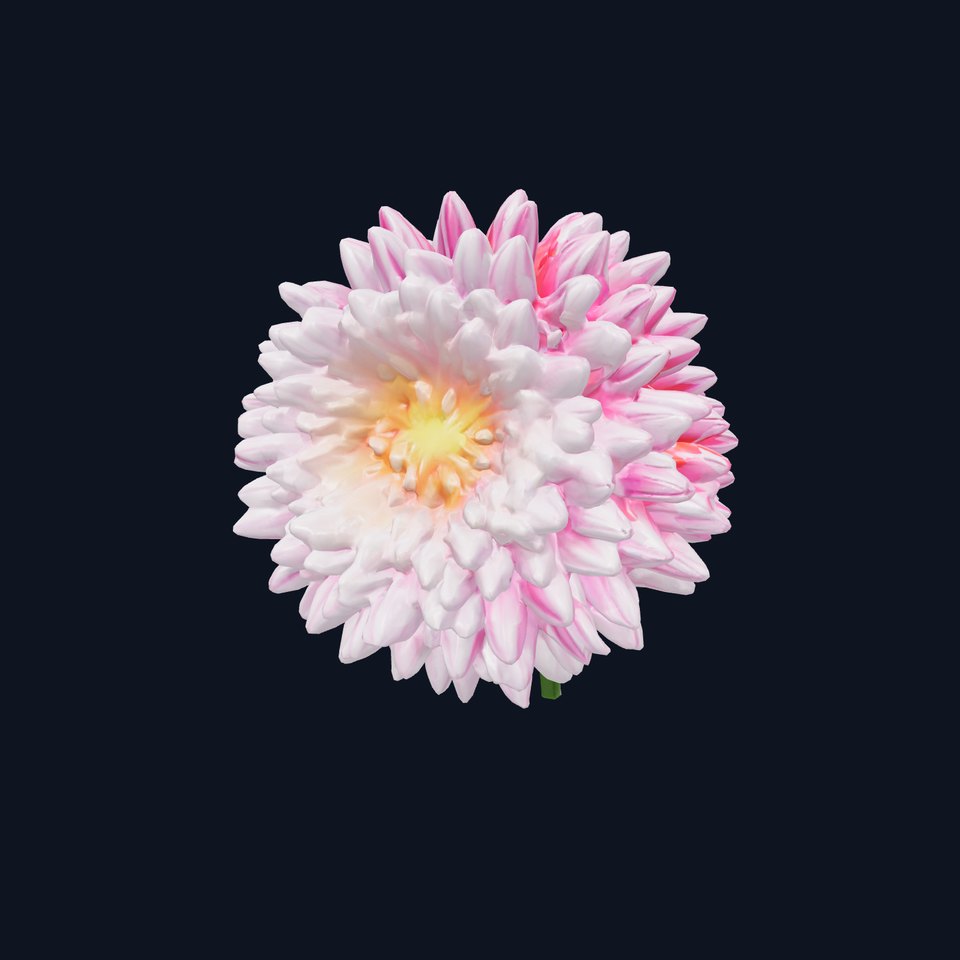 Chrysanthemum Bicolor Blossoms model pack