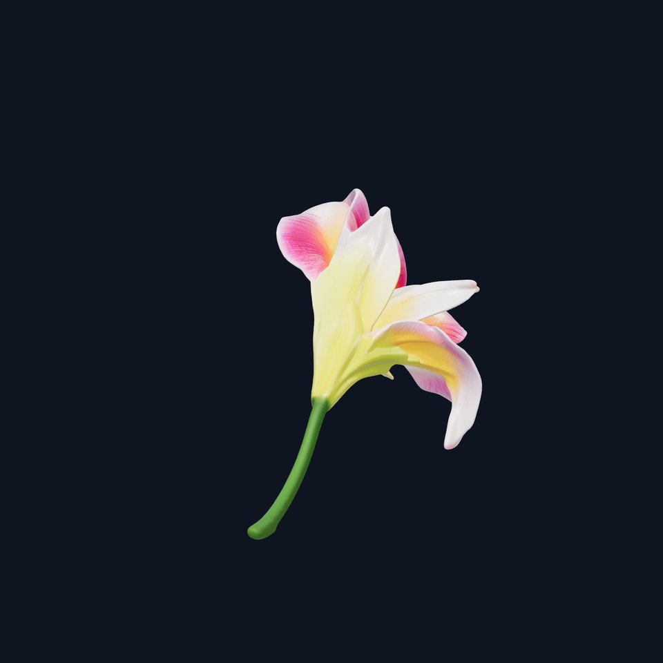 Freesia Bicolor Flower Realistic Petals Model Pack