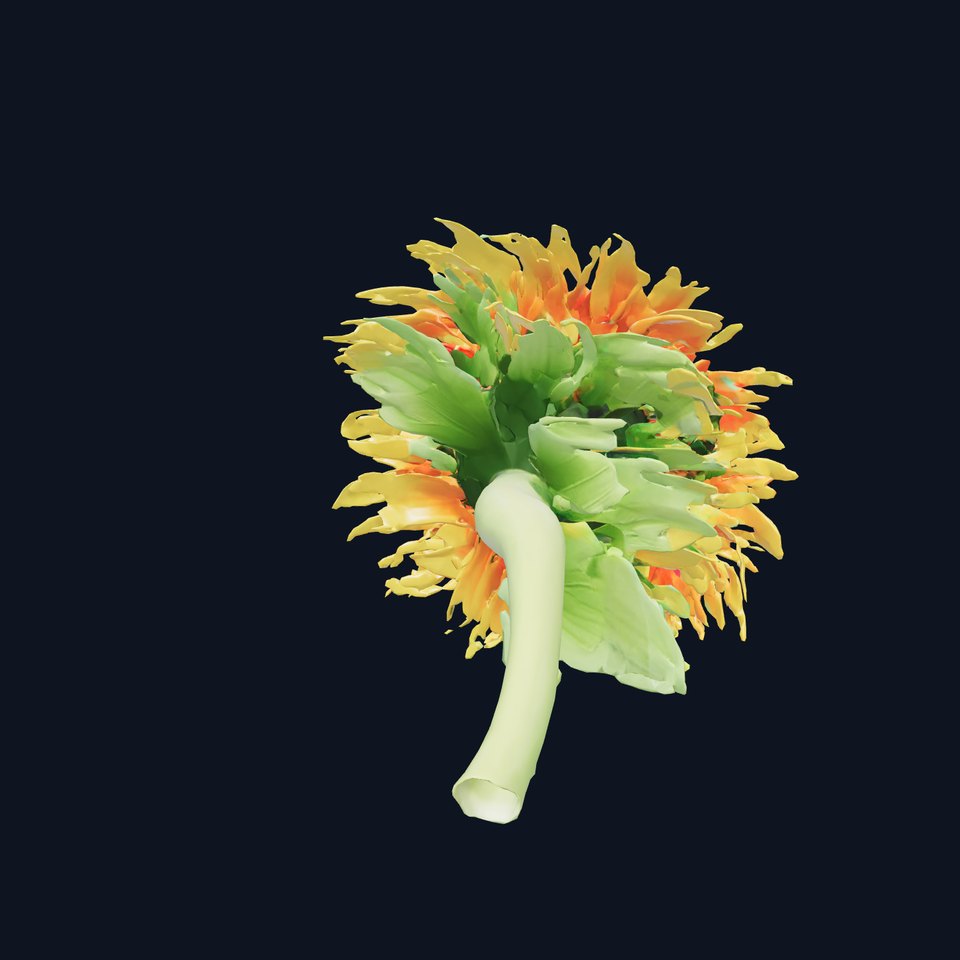 Gradient Petals Sunflower model pack