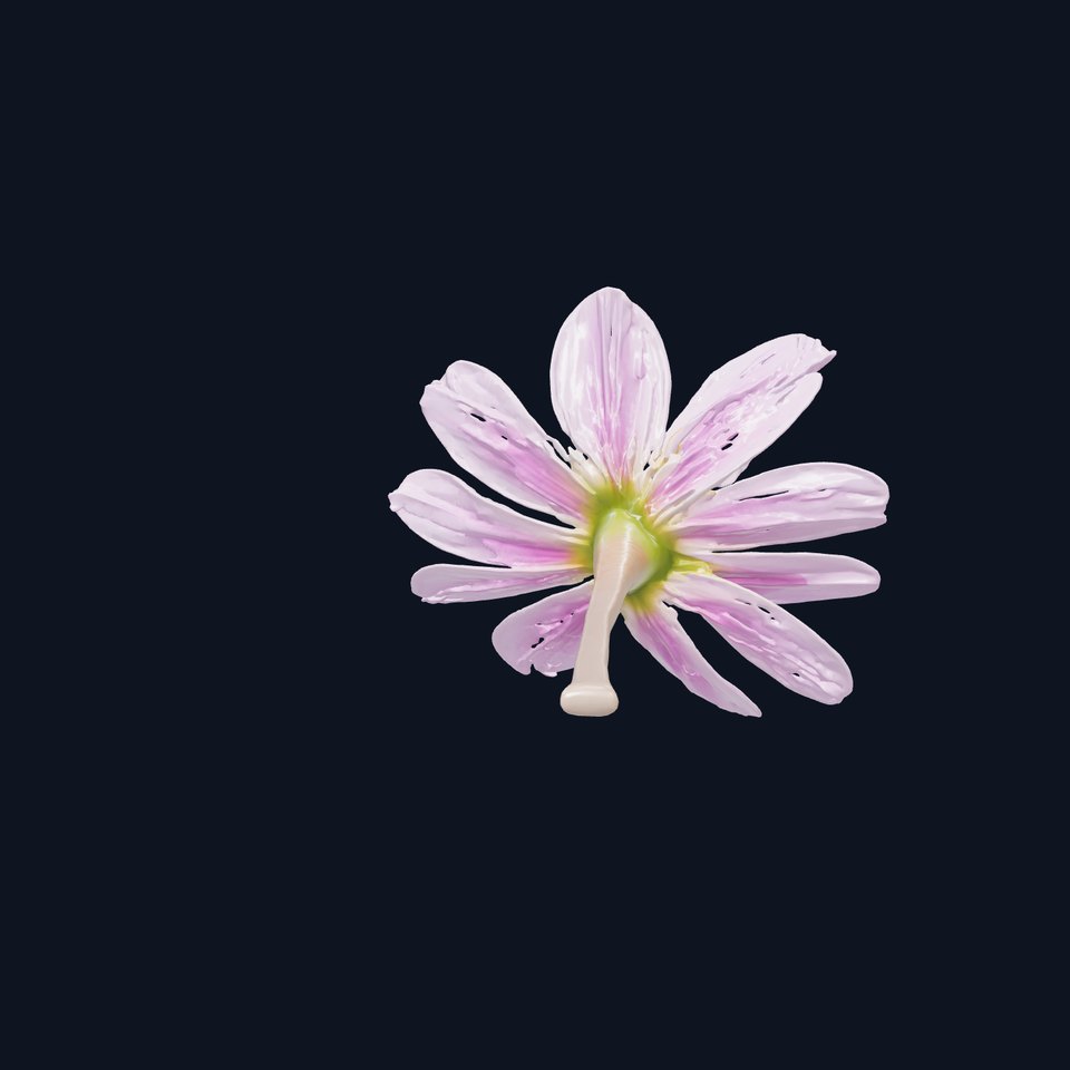 Lavandula Pink Botanical Sculpture model pack