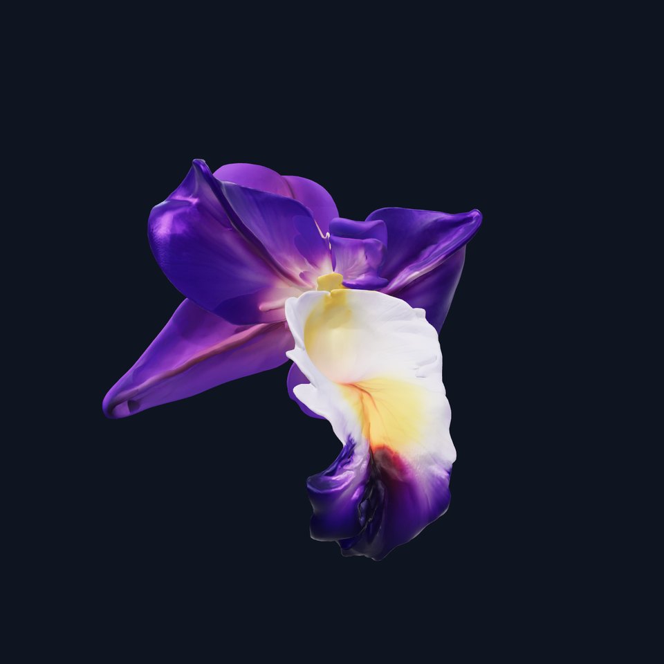 Freesia Purple Flower Craft model pack