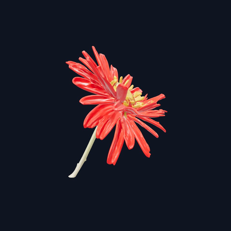Red Aster Flower Natural model pack