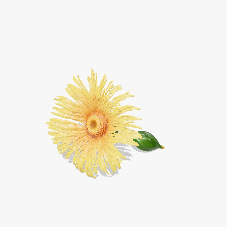 Yellow Aster Sunny Bloom model pack