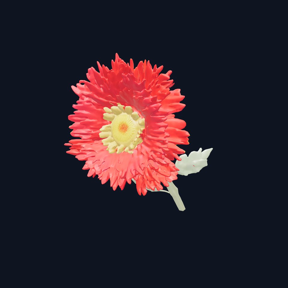 Red Chrysanthemum Flower Detailed Model Pack