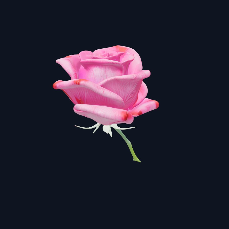 Vibrant Rose Model Pack with Detailed Textures