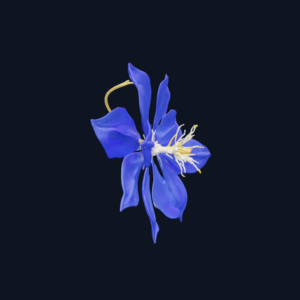 Blue Clematis Detailed Flower Sculpture model pack viewer poster